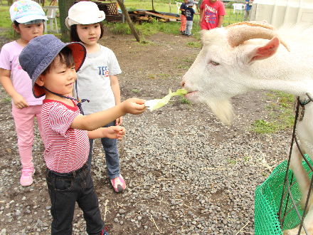 7月27日　サマーキャンプ